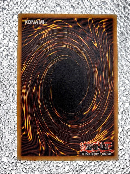 遊戯王 超魔導剣士－ブラック・パラディン スターライト レア 英語