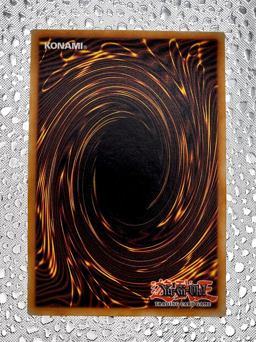 遊戯王 ワイト スターライト レア 英語