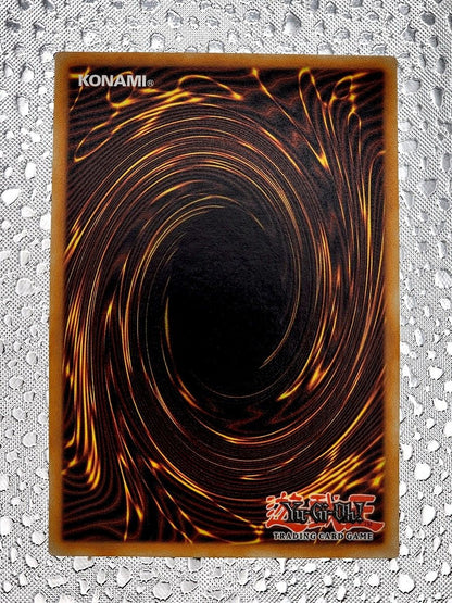 遊戯王 ワイト スターライト レア 英語